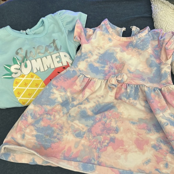 Toddler girls 24m - 2T clothing - 40 pieces - Picture 14 of 16